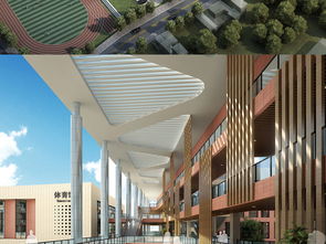 廈門后江小學(xué)規(guī)劃建筑設(shè)計模型詳解